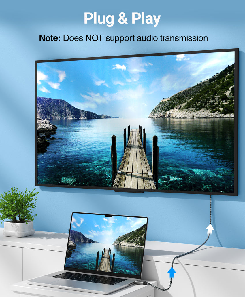 Unifirectional Monitor BlueRigger HDMI to VGA Cable (Unidirectional, 1080P, 60Hz, HDMI Adapte ...