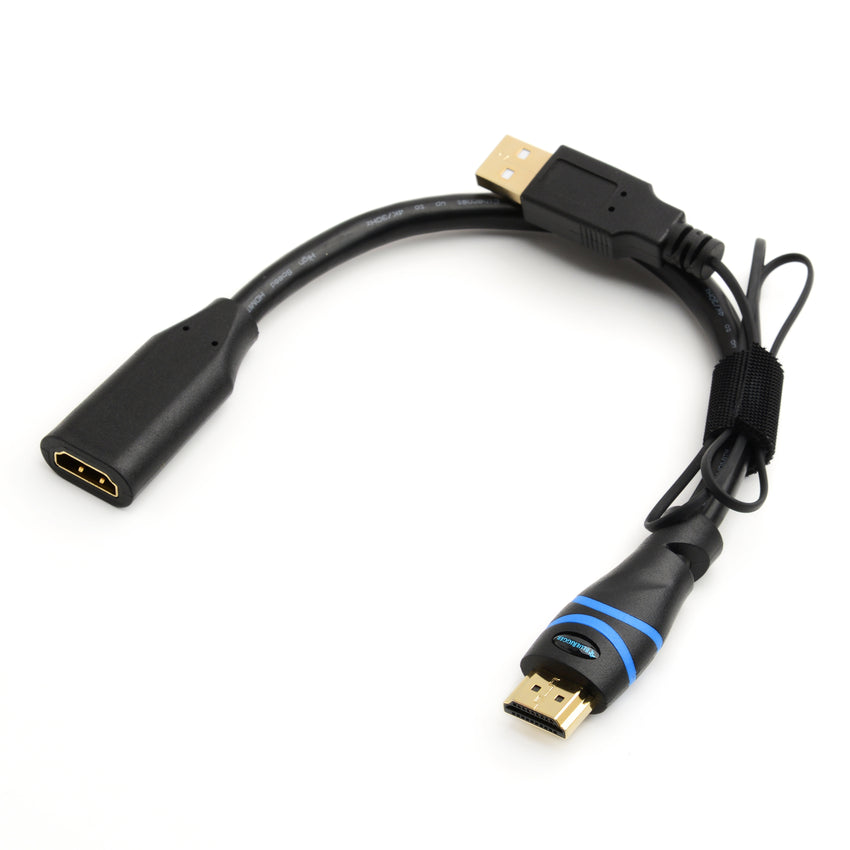 BlueRigger 4K HDMI Signal Booster Cable for 75FT and 100FT, Black ...