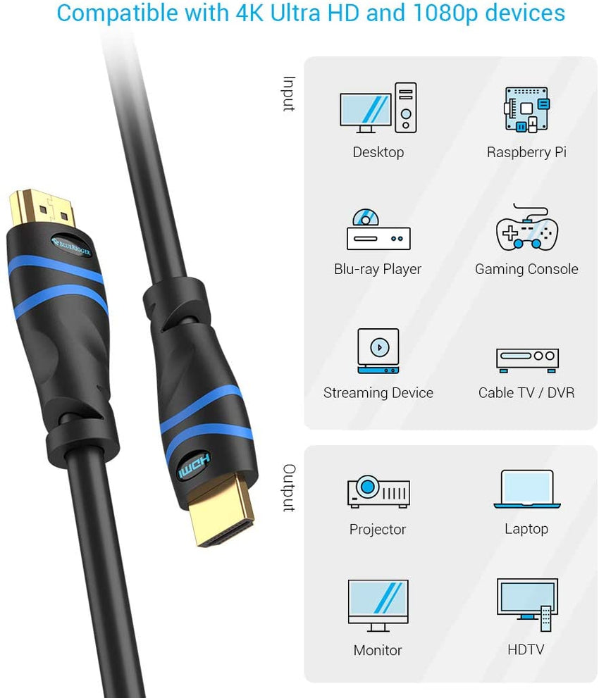 BlueRigger HDMI to DVI Cable (6FT, High-Speed, Bi-Directional Adapter Male  to Male, DVI-D 24+1, 1080p, Aluminum Shell) - Compatible with Raspberry Pi