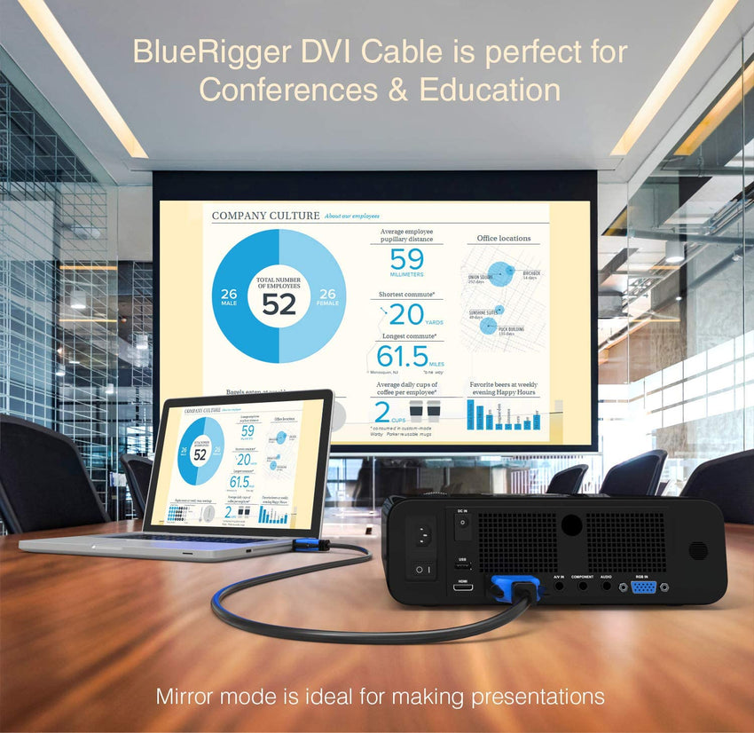 BlueRigger DVI to DVI Dual-Link Monitor Cable (6 feet)